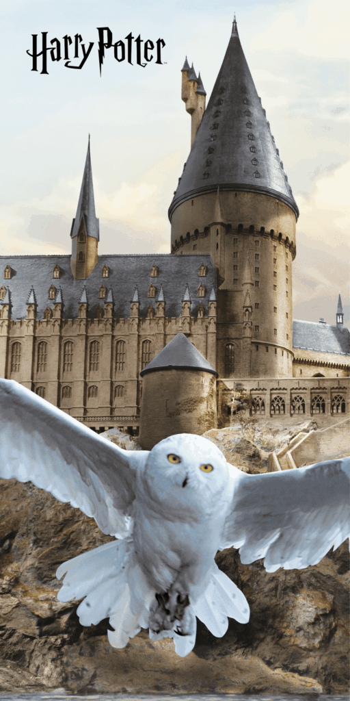 Harry Potter Strandlaken - Hedwig- 70 x 140 cm - pre order