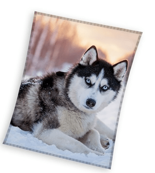 Sweet Home husky fleece plaid wit 150x200