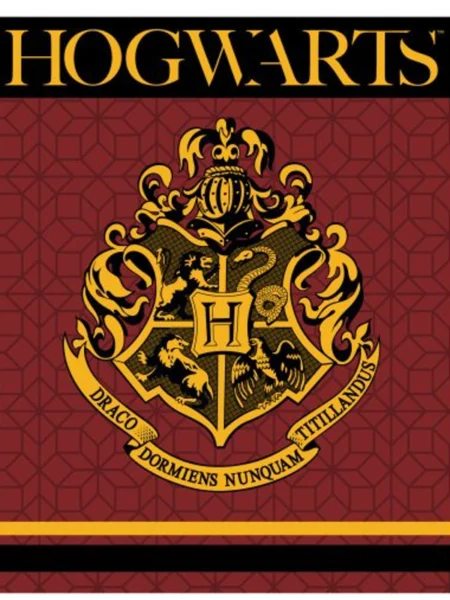 Harry Potter fleeceplaid Hogwarts rood 120x150cm