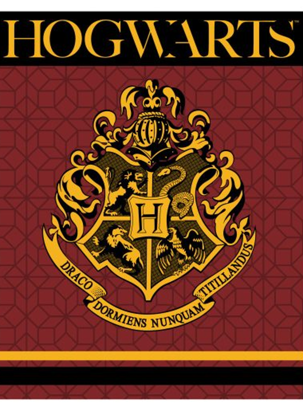 Harry Potter fleeceplaid Hogwarts rood 120x150cm