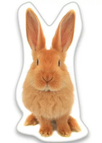 Konijnen sierkussen rood 22X36 cm