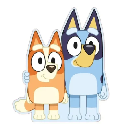 Bluey sierkussen 28 x 34 cm